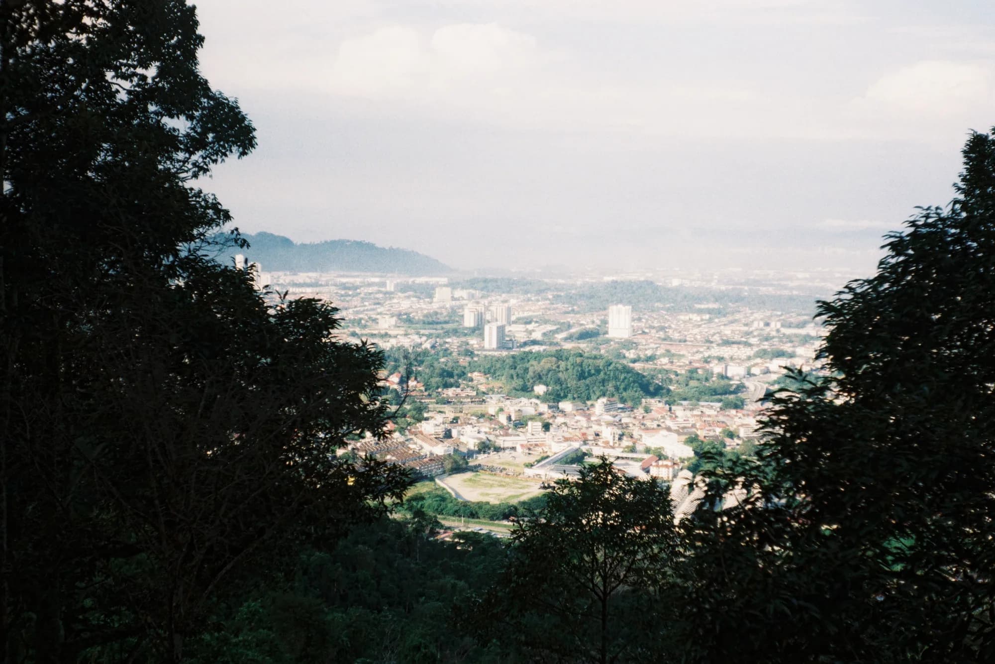 KODAK PRO 100 (12)