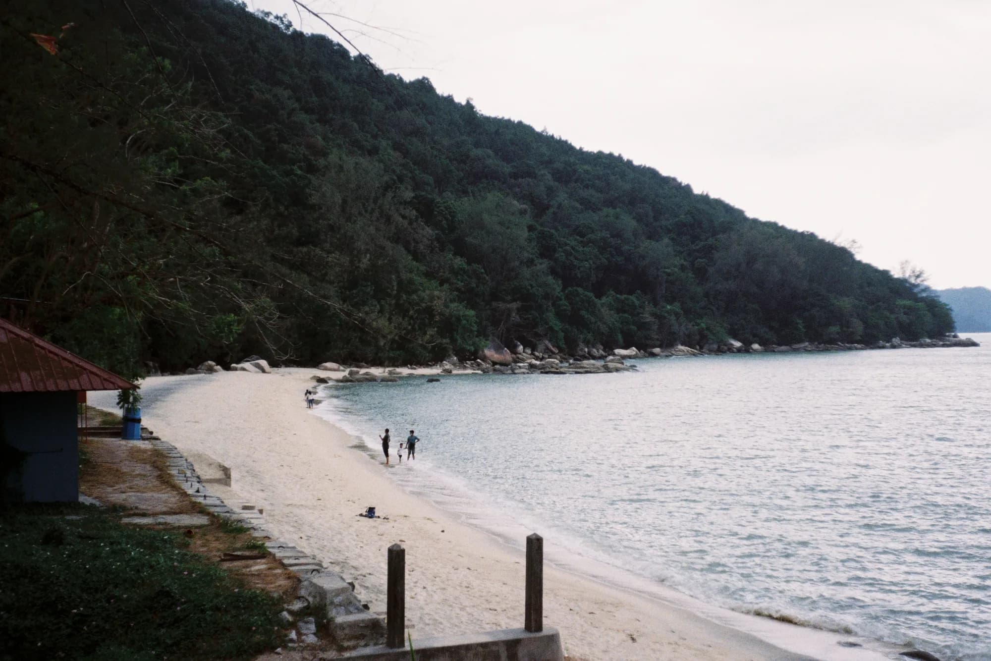 KODAK PRO 100 (35)