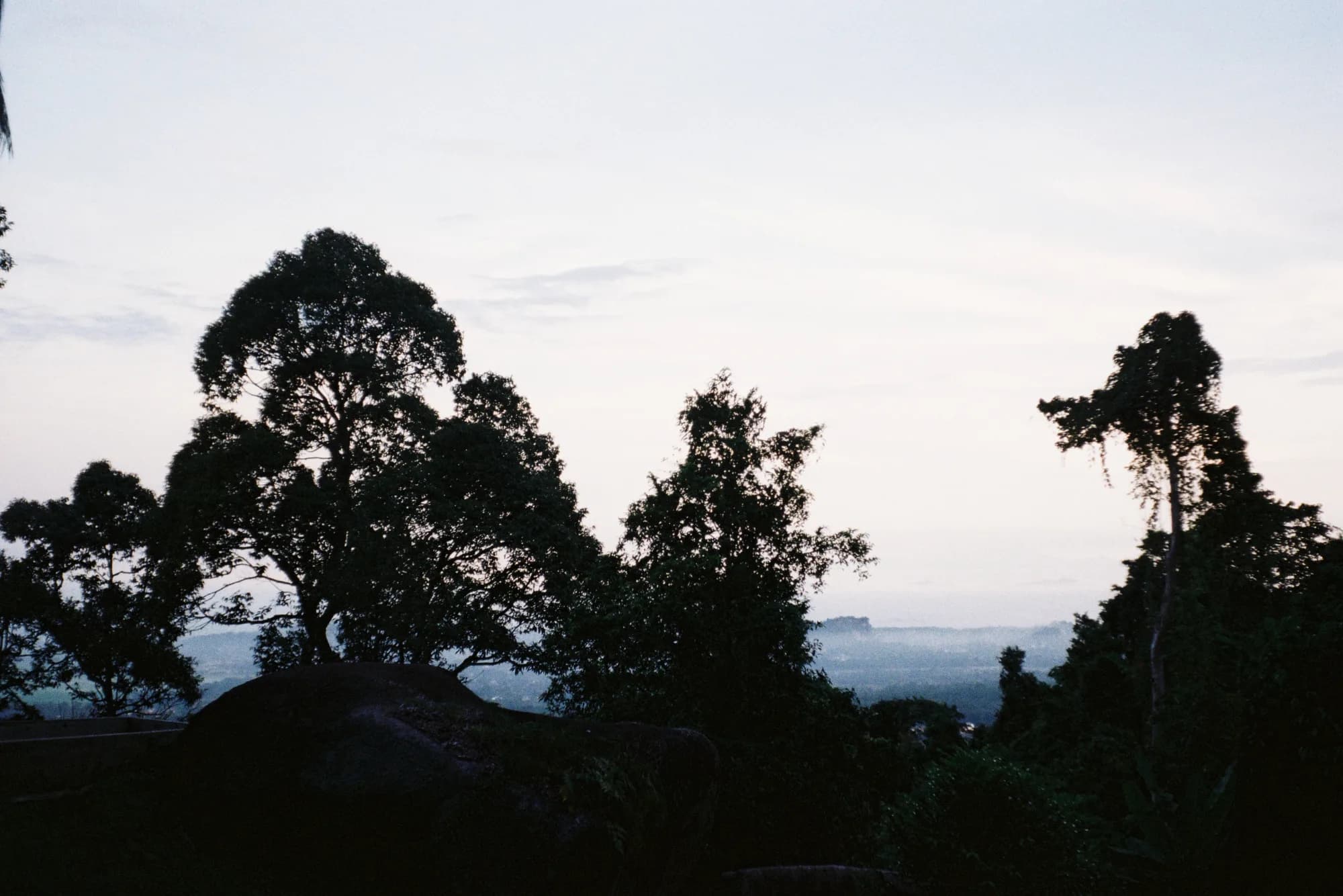 KODAK PRO 100 (9)